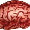 Morris Costumes Brain Latex Prop Decorations & Props