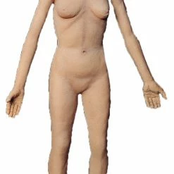 Distortions Flex Body Life Size Female Prop