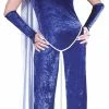 Fun World Costumes Frost Bite Frozen Ice Queen Adult Costume
