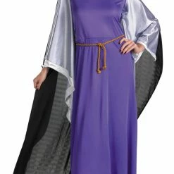 Disguise Disney Evil Queen Deluxe Adult Costume Costumes