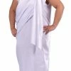 Fun World Costumes Toga Adult Costume, Plus Size