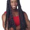 Seasonal Visions Wig Rasta Braided Long Hair