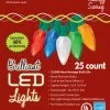 Golden Bay 25 Count C9 Ceramic Style Christmas Holiday Indoor/Outdoor Lights
