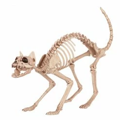 Seasons USA Skeleton Kitty Bonez
