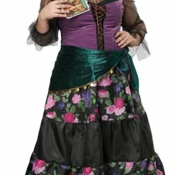 California Costumes Women's Plus Size Mystical Charmer Costume