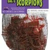Fun World Decorations & Props 20 Scorpions In A Bag
