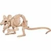 Seasons USA Decorations & Props Skeleton Creepy Crouching Mouse Prop