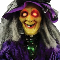 Sunstar Standing Animated Witch Wizard & Witches