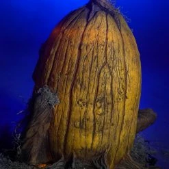 Distortions Decorations & Props Grizzly Gourd Frightronic Animated Prop Halloween