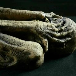 Distortions Ancient Mummy Realistic Prop