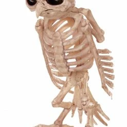 Seasons USA Skeleton Owl Prop Decorations & Props