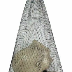 Sunstar Doll Heads - Pack Of 3