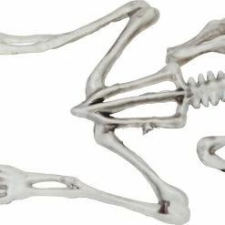 Sunstar 8" Frog Skeleton