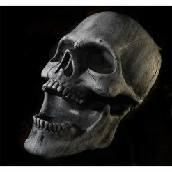 Distortions Decorations & Props Giant Stone Skull Prop Hand Painted