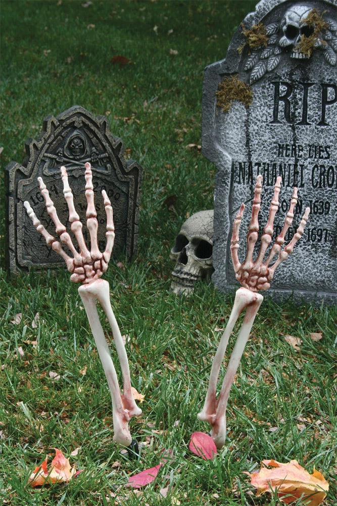 Family Halloween Store -Family Halloween Store